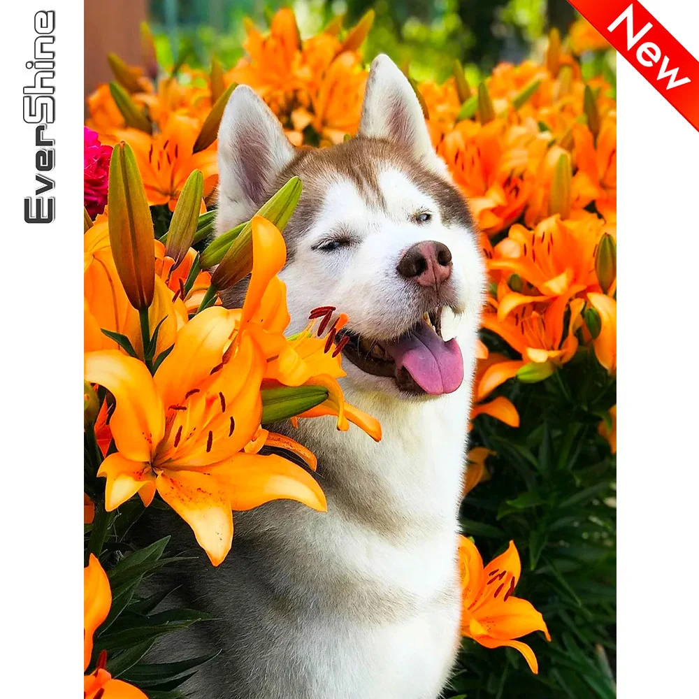 Evershine Diamond Painting Dog 5D Embroidery Animal Rhinestone Picture Husky Cross Stitch DIY Hobby Home Decoration | Дом и сад