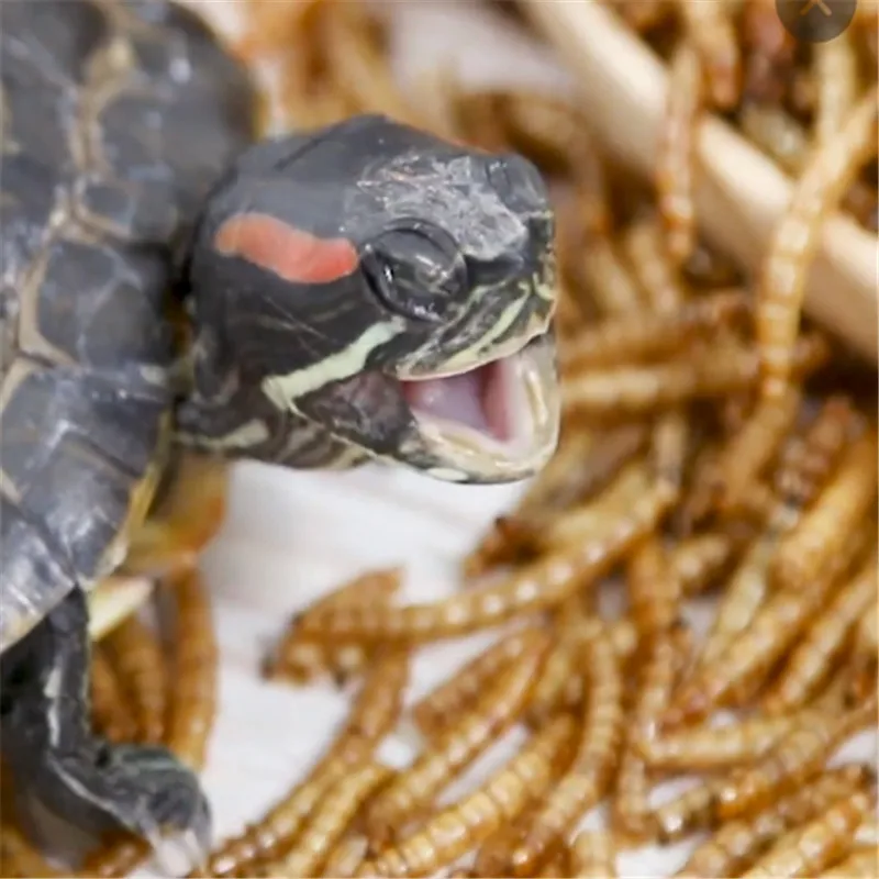 搜狗截图19年09月26日1927_16