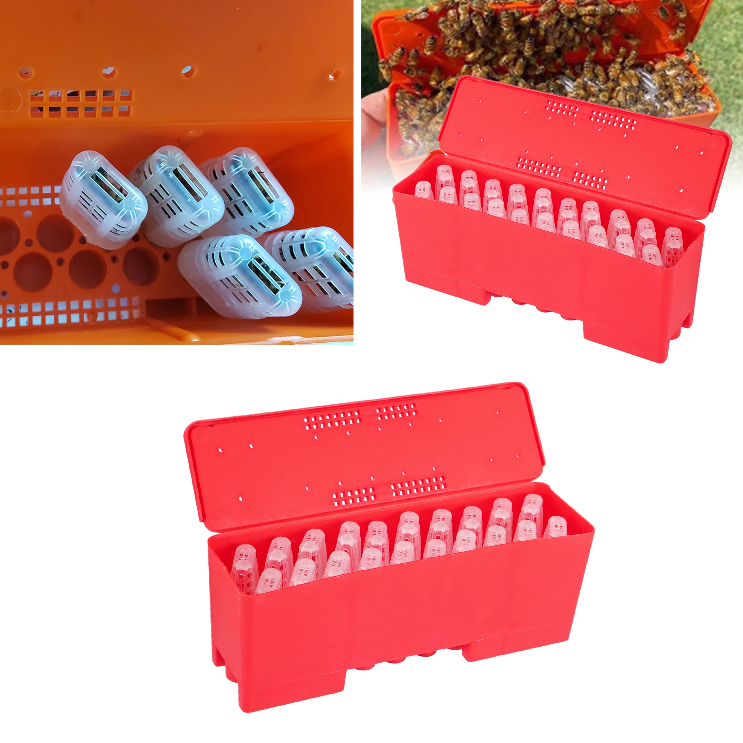 10PCS Functional Queen Cage Bee Match-box Moving Catcher Cage Beekeeping Too.v 