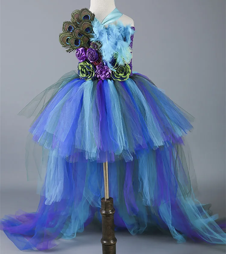 

Origional Design Big Kid Dress Children Dance Formal Dress Girls Peacock-Feather Front Short Long Back Tailing Skirt