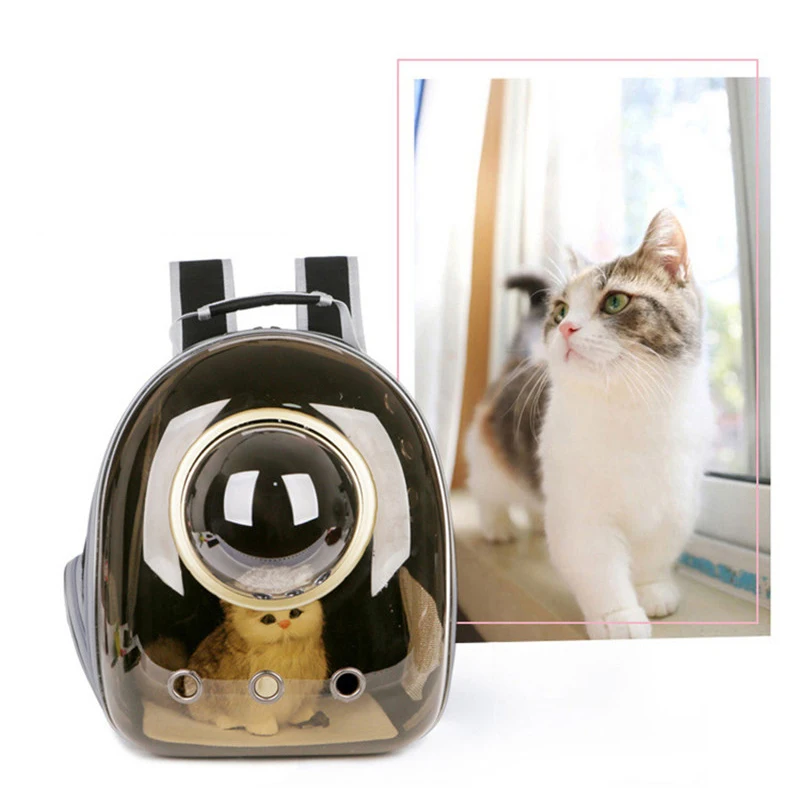 12356357089_1251387692