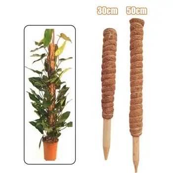 

Coir Totem Pole Outdoor Support Office Home Climbing Plants Stick Indoor Creeper Trelli Frame Balcony Garden Maintain Moisture