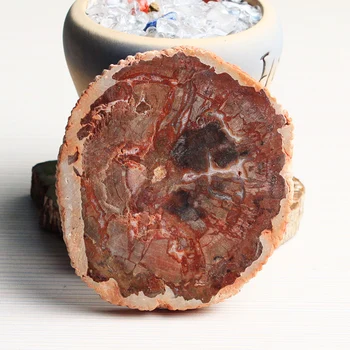 

Muhuayu Mineral Goods Of Furniture For Display Rather Than For Use Flake Fossil-jade Teacup Padding Wind Decoration Material