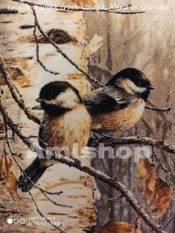 Gold Collection Counted Cross Stitch Kit Two Tomtit Tit Titmouse Sparrow On Birch Tree In Autumn Forest Birds Of A Feather Counted Cross Stitch Kits Cross Stitch Kitscounted Cross Stitch Aliexpress