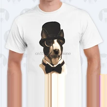 english bull terrier shop