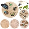 Wooden Animal Life Cycle Board Children Toys Montessori Teaching Aids Plant Growth Cycle Model Set Life Science Educational Toys 1