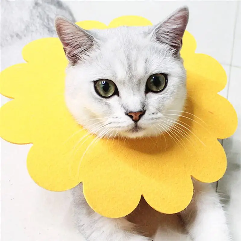 5pcs Pet Cat Collar Sunflower Recovery Felt Collar Anti-Scratch Protective Elizabethan Collar For Cat Kitten 5pcs Pet Cat Collar Sunflower Recovery Felt Collar Anti-Scratch Protective Elizabethan Collar For Cat Kitten