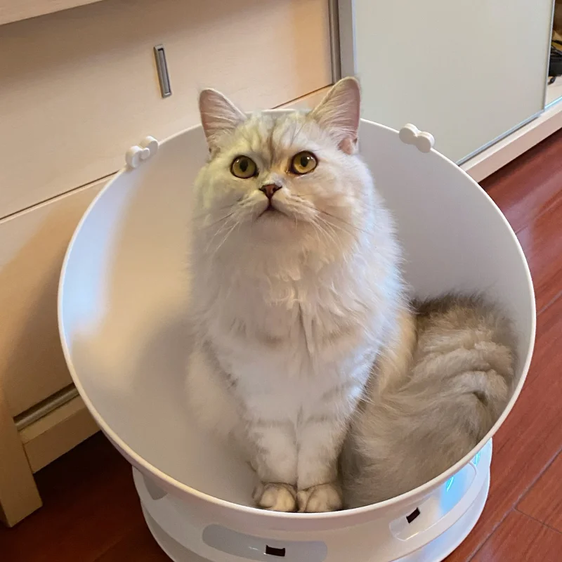 

Cat Nest Four Seasons Universal Cat Supplies Winter Warm Removable Washable House Cat House Pet Winter Nest Villa Cat Bed