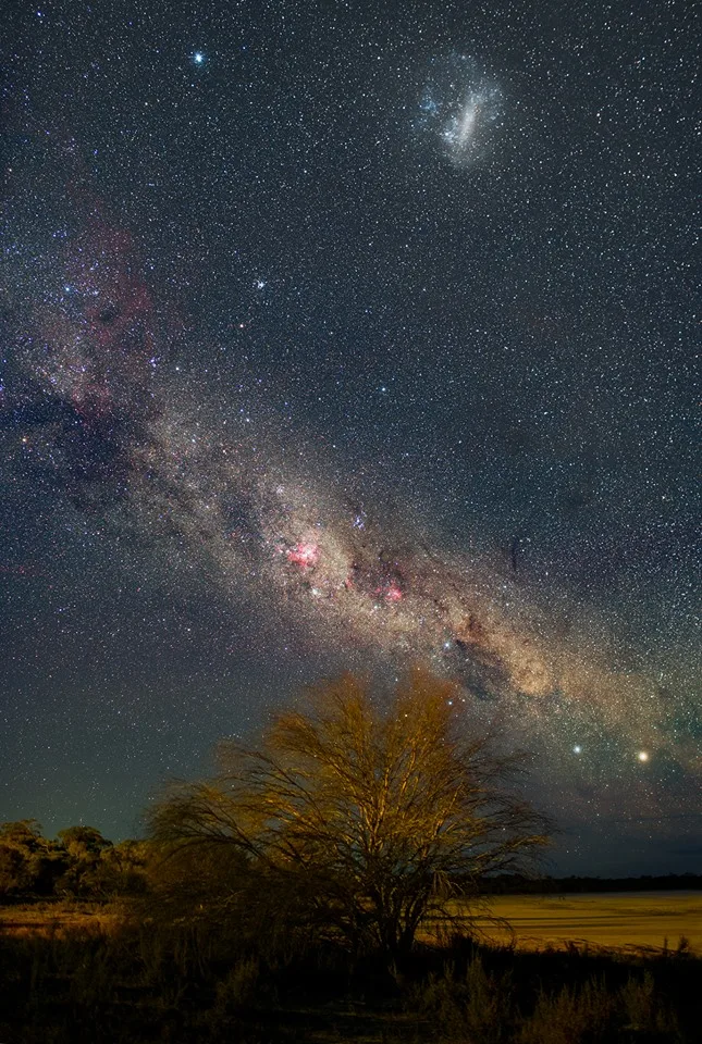 52893651_2112541245493959_2834152195966894080_n