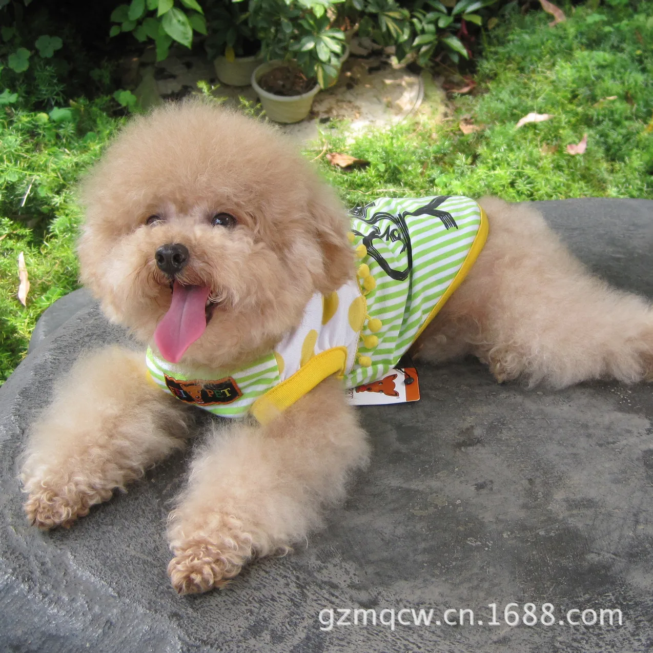 Одежда для собак Majestic Pet Item Одежда для питомцев Весна и лето золотой ретривер Одежда для больших собак лето
