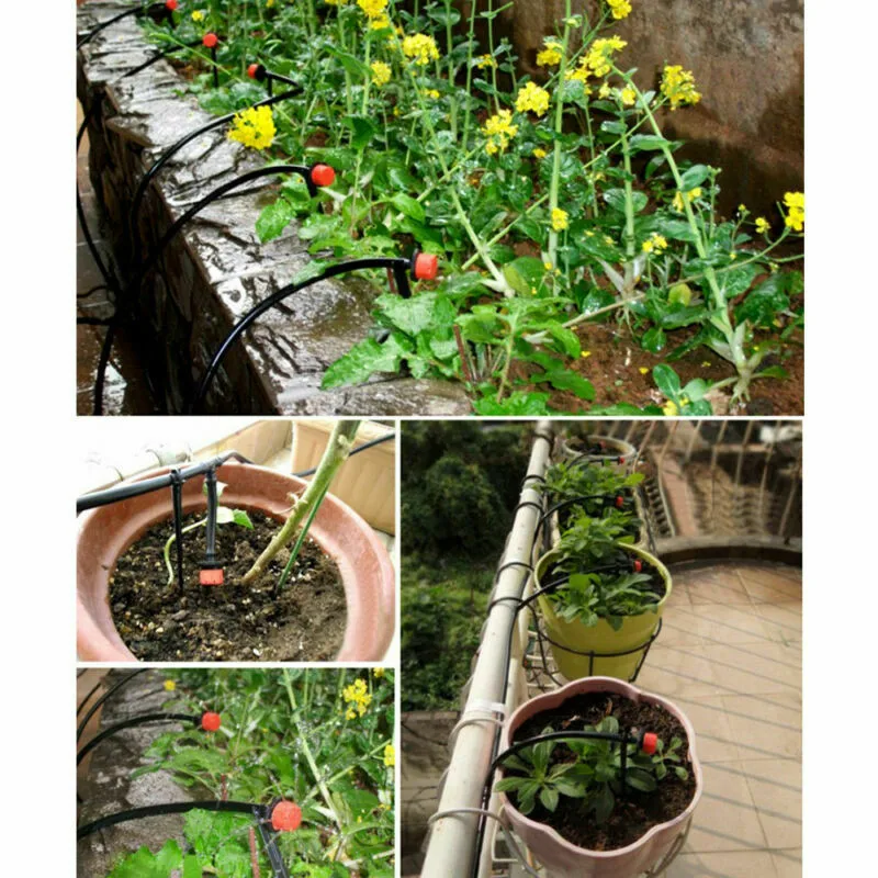 Drip Irrigation (10)