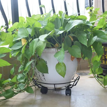

Solid Flowerpot Round Tray Rack Flower Disk Movable Gas Tank Rack Universal Wheel Plant Pot Tray 4 Wheels Planter Flowers Pot Mo
