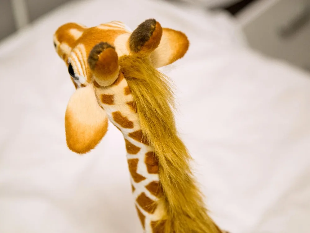 35-55 см настоящая жизнь милые Жираф Плюшевые игрушки чучело куклы Мягкие имитация Оленя Игрушки для детей подарок на день рождения Домашний декор