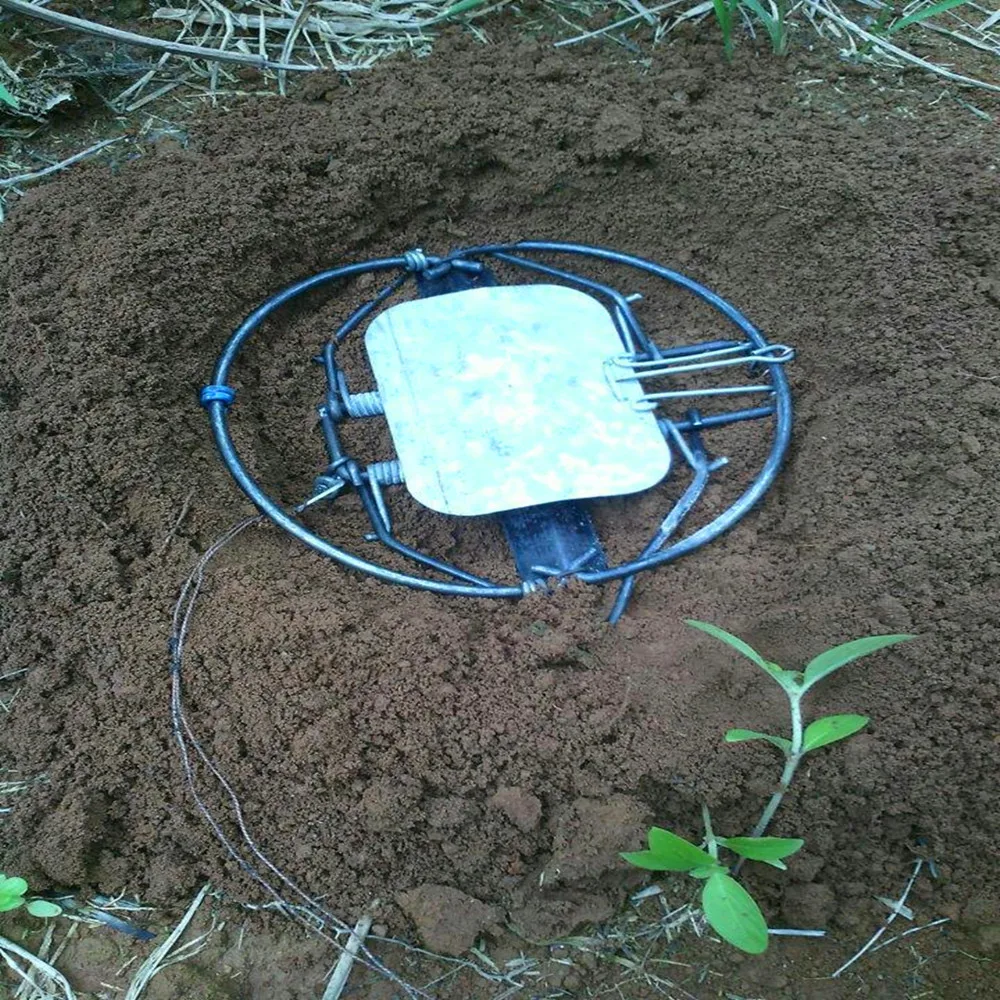 Mice Rat Rodent Animal Control Tool Practical Mouse Trap for Home Garden Pest Live Trap Home Garden Mice Countrl Tool