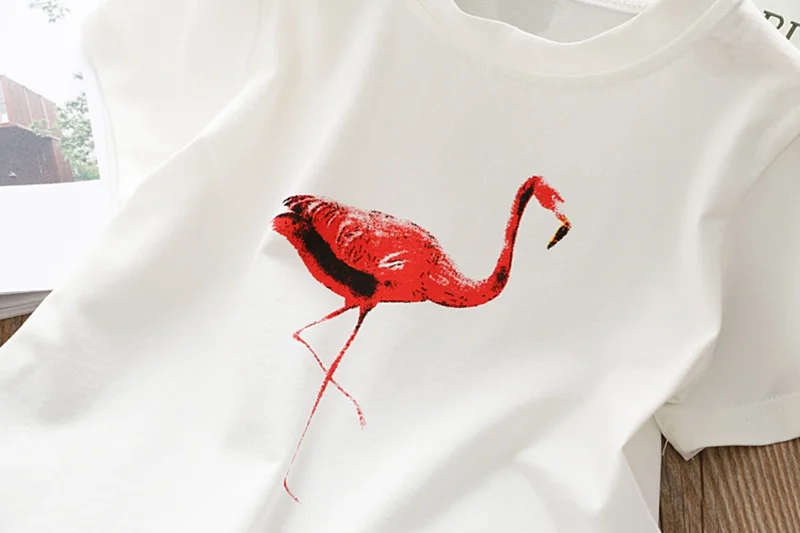 O1CN01vQPlRC2CofO3zeuBF___44248521