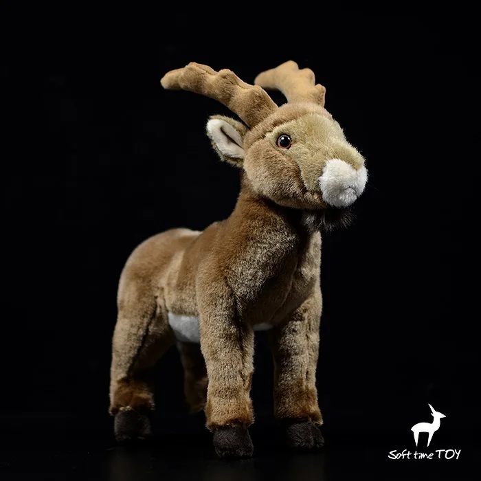 O1CN01GBflNU1DnZyQp0KeP_!!22080261