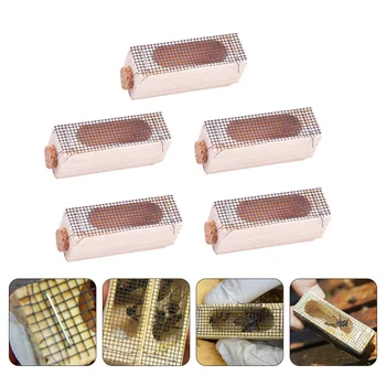 

5pcs Queen Bee Cage Beekeeping Equipment Wooden Bee Cage Beekeeping Tool