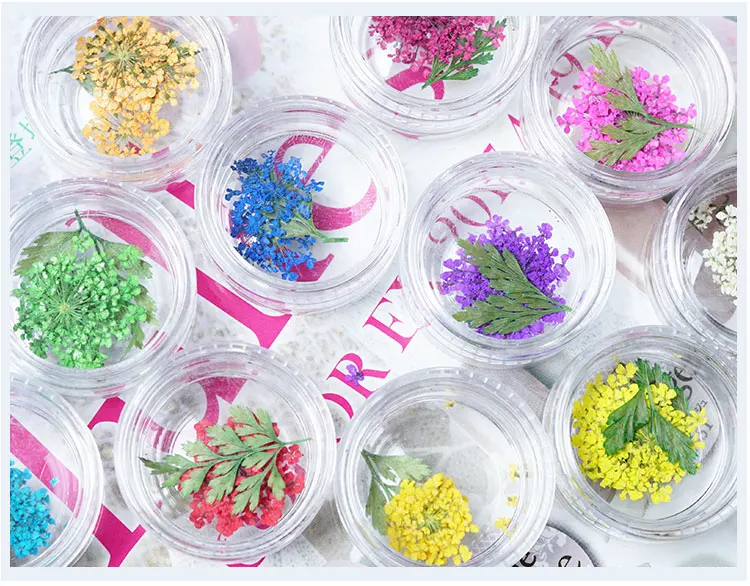 12Boxes/Set Charm Natural Dry Flower Decal Nail Art 3D Dried Real Flora Flowers With Leaf DIY False Nail Decoration Dried Flower