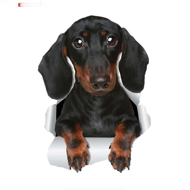 クリエイティブ動物3dかわいいダックスフントソーセージ犬車のステッカーデカール壁車トイレルーム荷物スケートボードのラップトップkk14 10センチメートル Car Stickers Aliexpress