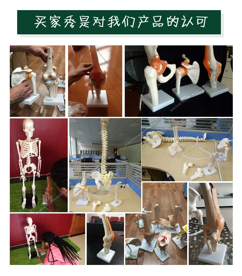 12351 买
