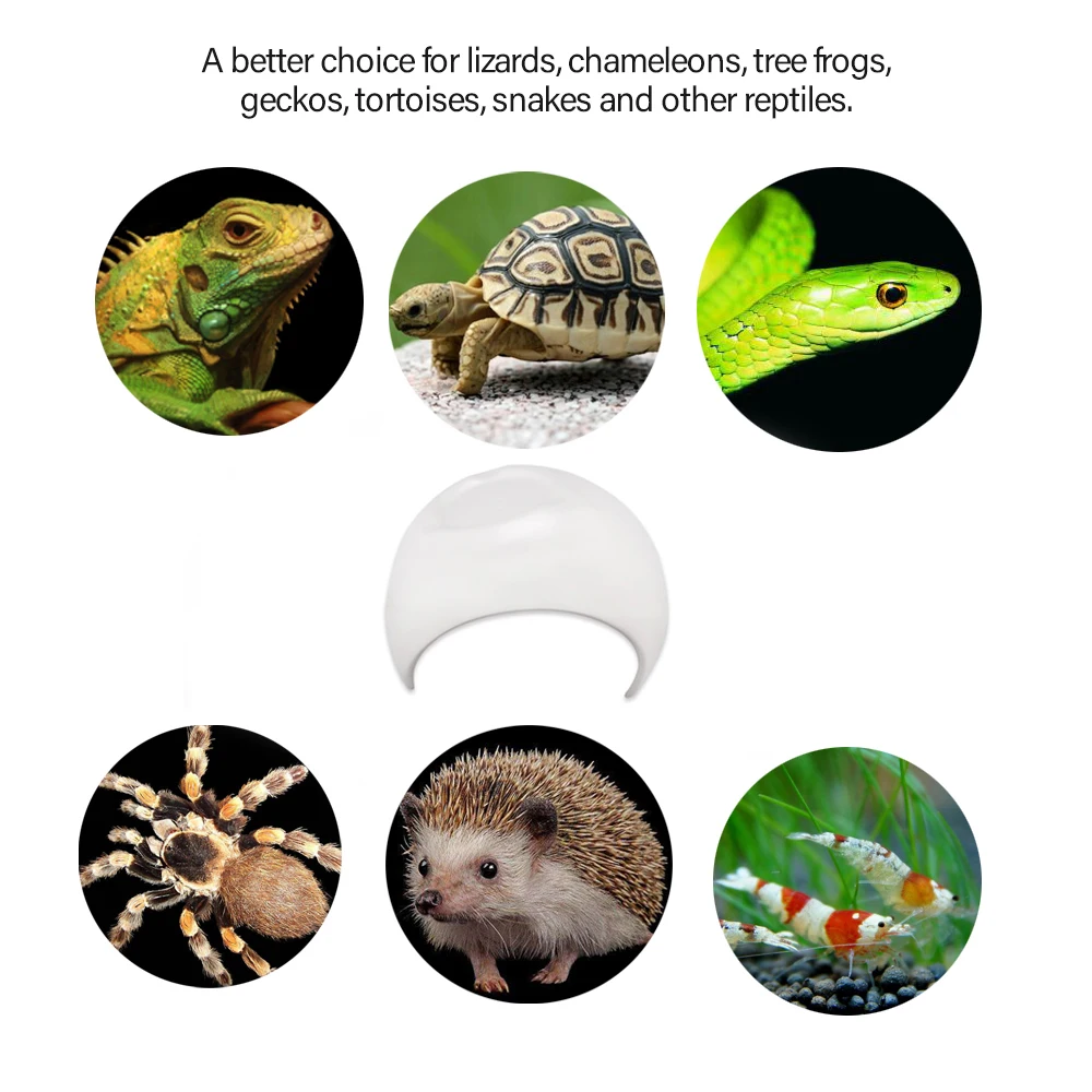 Hot New Reptile Shelter Hiding Cave Habitat for Lizards Frogs Snakes Shrimp Spider Other Pet Case Decoration | Дом и сад
