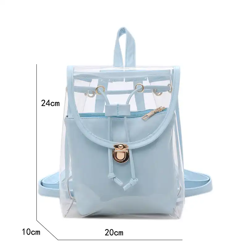 designer transparent bag