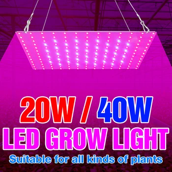 

LED Phyto Lamp For Plants Flower Grow LED Lamp 20W 40W Hydroponics System Growth Box LED Full Spectrum Seedling Fito Lamp 220V