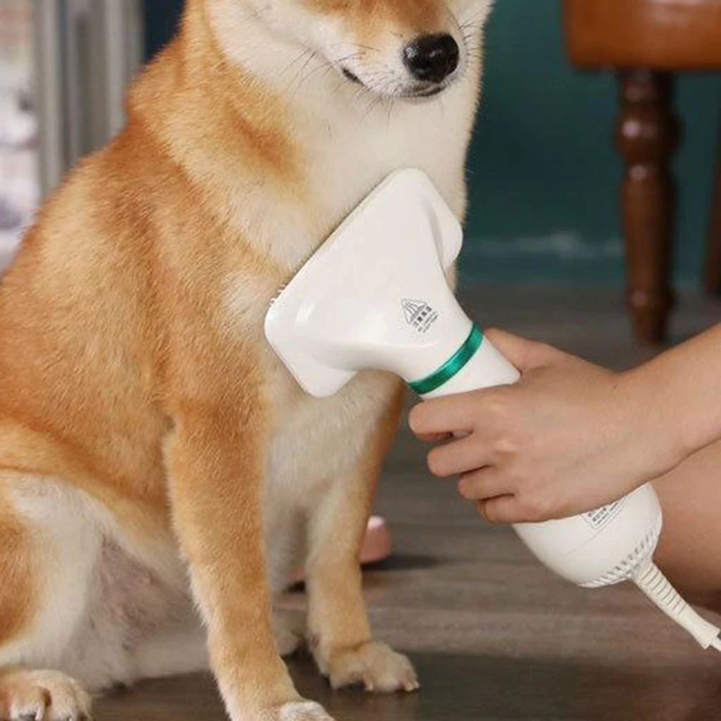 Portable 2-in-1 Pet Hair Dryer Dogs Cats Bathing Blow Brush Home EU Plug