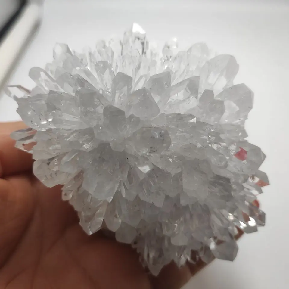 QQ图片20200506101342