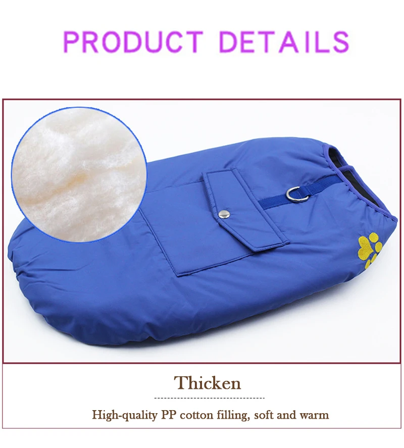 11197929221_1877549386