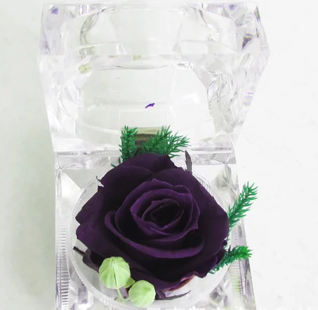 deep purple