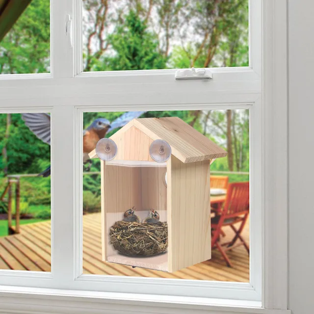 Nichoirs à fenêtre transparente pour l'observation des oiseaux,  bidirectionnel, extérieur, pour la nidification, avec ventouse - AliExpress