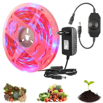 

5M Full Spectrum LED Grow Lights 5050 SMD 300 Leds Seedling Grow Light Led Strip for Plants Flowers Greenhouses Hydroponic Lamp
