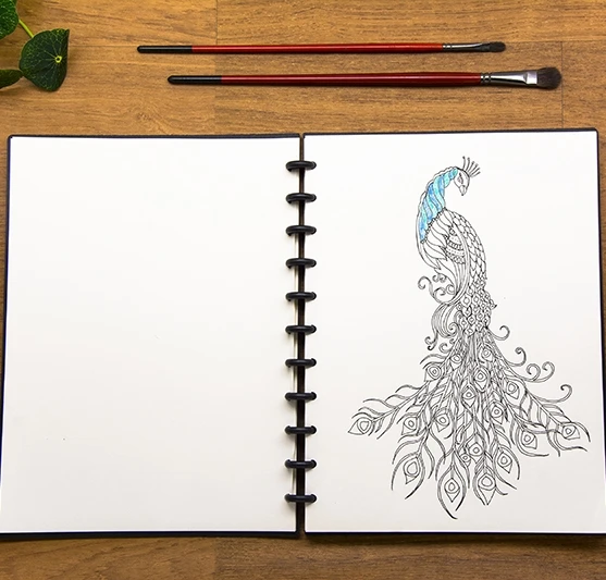 40 листов А4 креативный блокнот гриб отверстие пластиковое кольцо Sketchbook свободный лист съемный дизайнер специальная ручная роспись