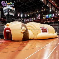 Giant 15x8x3.7 Meters Inflatable Gastrointestinal Tunnel For Education - BG-Z0XX07 1