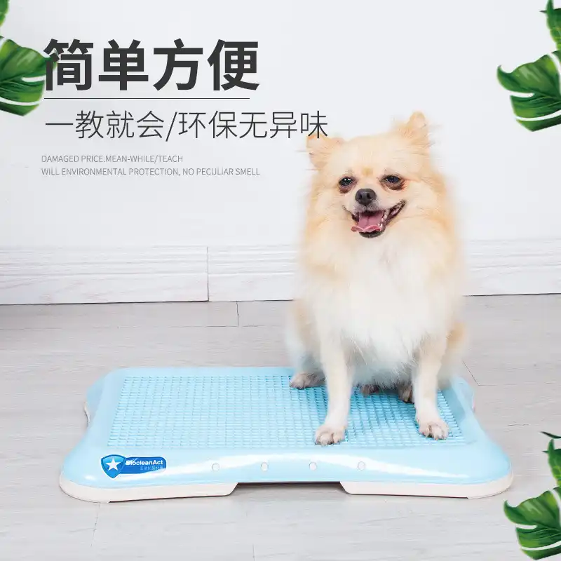 ペット犬猫製品自動フラッシュリトルトイレボックス Litter Boxes Aliexpress