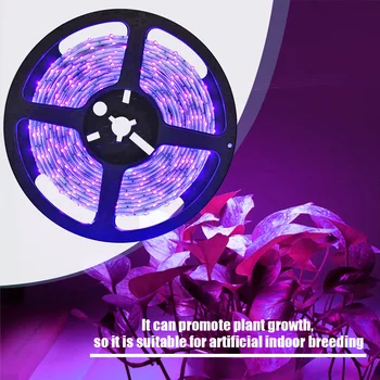 

5m 3528 UV LED String Light Lightweight Ultraviolet Waterproof Ribbon Tape Lamp Vintage Cover Bulb Guard Lamp Pendant