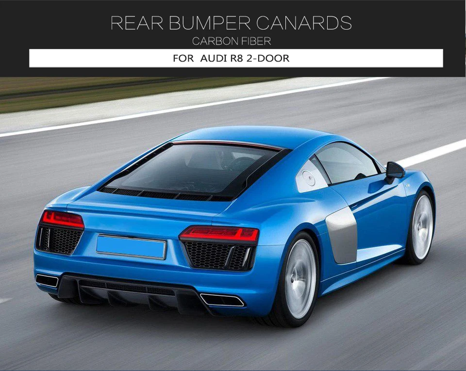 Боковое крыло из углеродного волокна для Audi R8- разветвитель заднего бампера