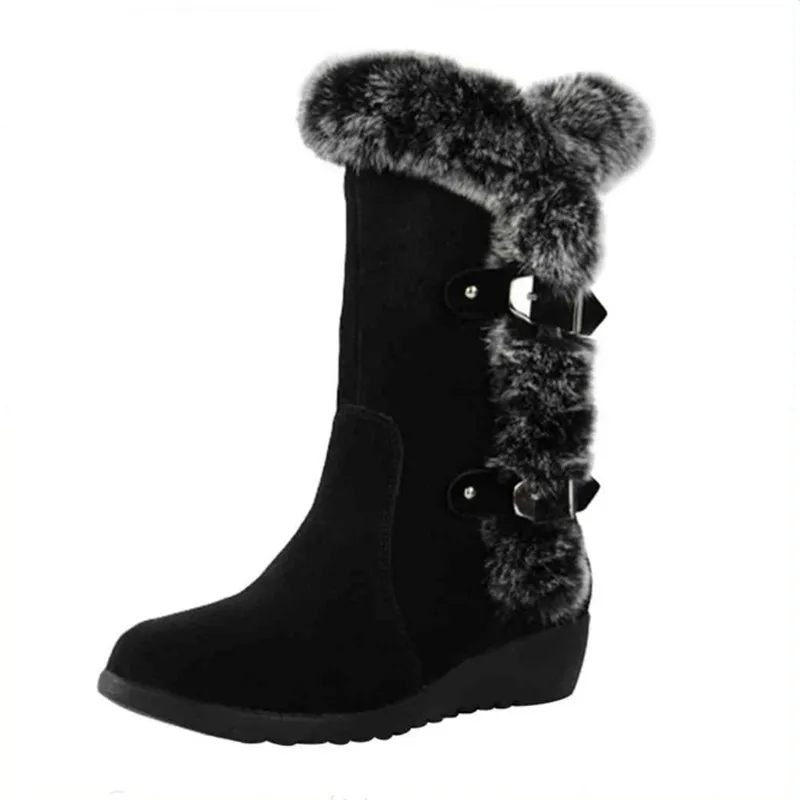 10245951612_1481793032