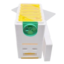 Пчеловодная королева разведение коробка для выращивания пчеловодства поставки пчеловодства пчела урожая пчеловодства пенопласт двухслойный хогард Пчеловодная королева разведение коробка для выращивания пчеловодства поставки пчеловодства пчела урожая пчеловодства пенопласт двухслойный хогард