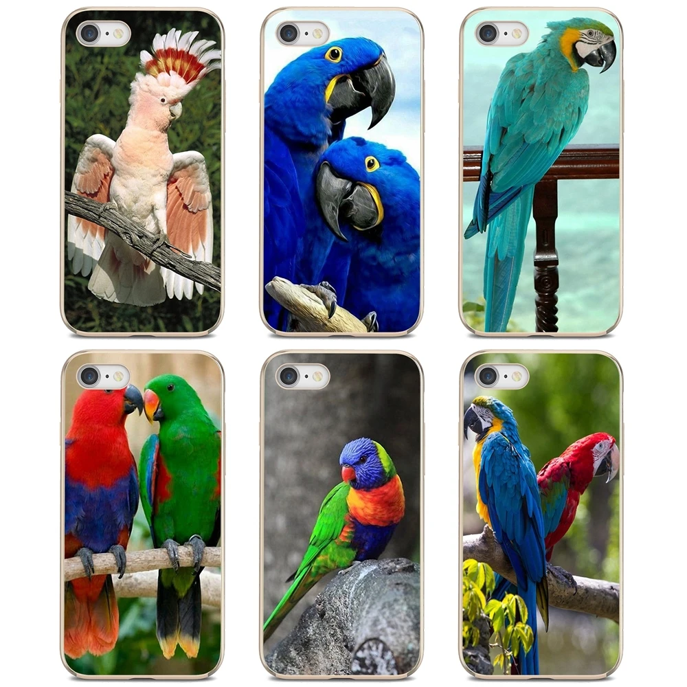 Мягкий ТПУ чехол Rainbow-Parrot для Sony Xperia XA Z3 Z5 XZ1 XZ2 Z Z1 Z2 compact M2 M4 M5 C4 C6 E3 T3 | Мобильные