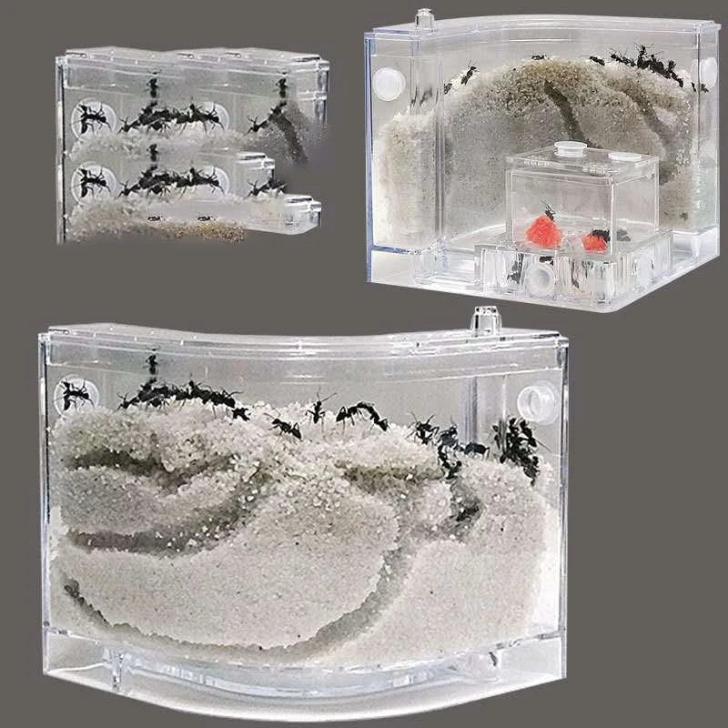 dbbdbd247cb3f80be03c33a5f9ddd1d