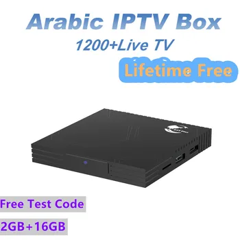 

Arabic IPTV Box lifetime free 2G+16G with 1200+Live TV Africa/Somali/Swedish Android 9.0 Arabic IPTV Box Smart TV Box