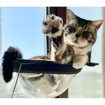 

Kitten Cat Suction Space Capsule Sofa Mat Pet Supplies pet Sunny Window Comfortable Seat Cute Cat Hanging Beds Seat Hammock