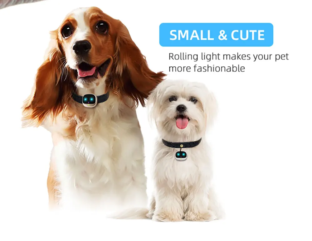 v47-宠物详情页英文版_07