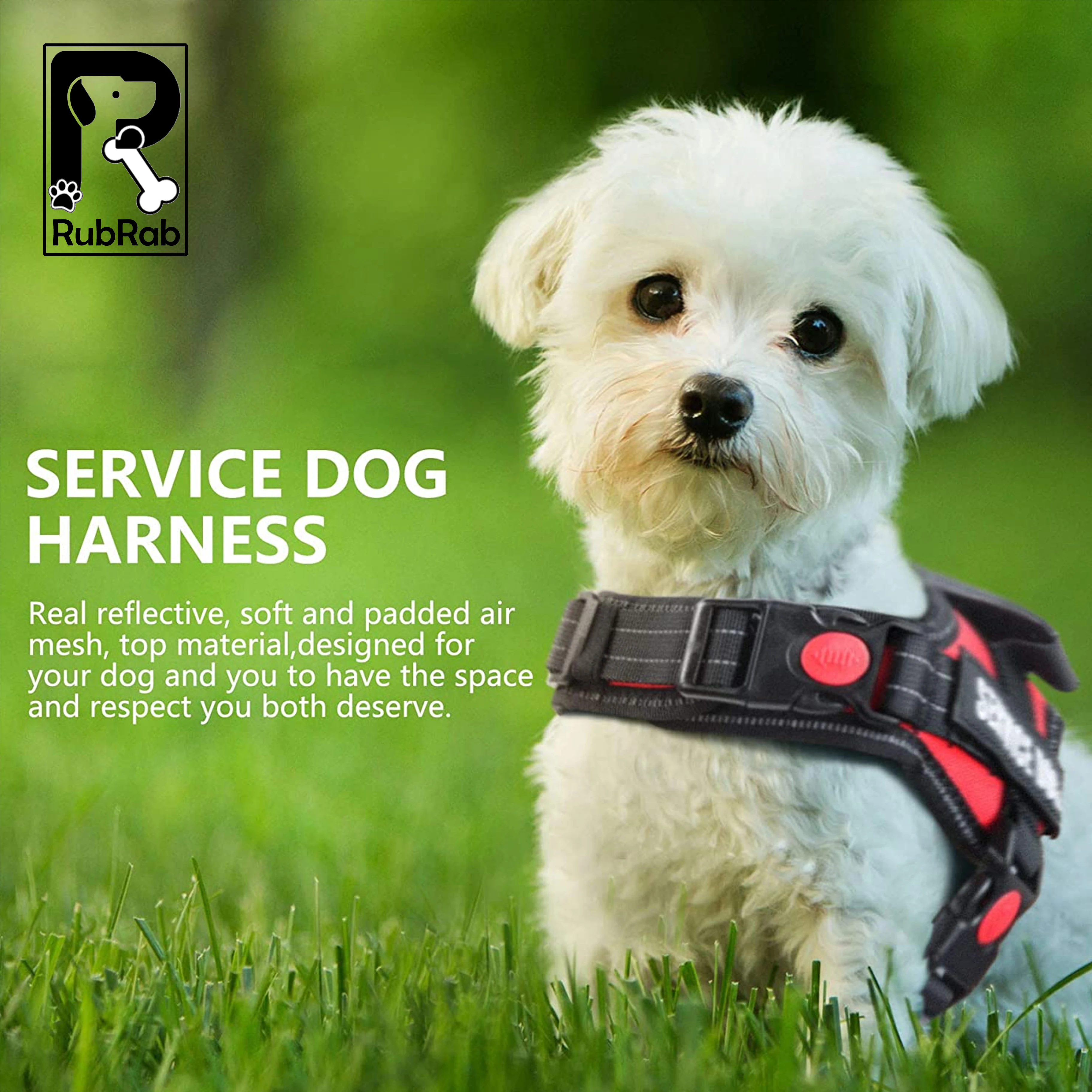 service dog in training harness