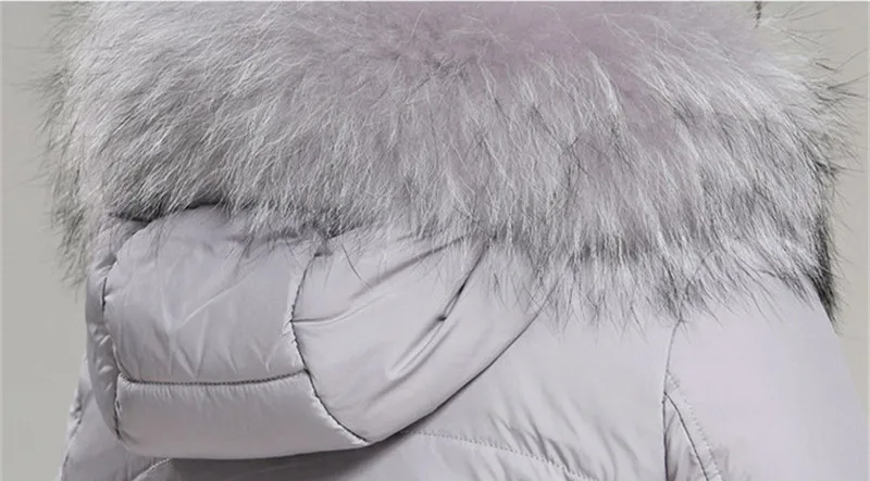 3605820214_1355003714