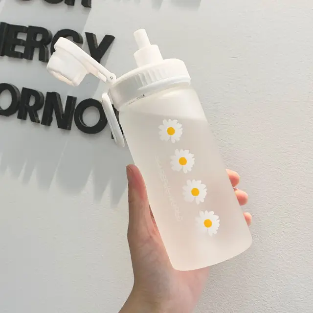500ml Kawaii Small Daisies Milk Water Bottle With Straw Portable Leakproof Frosted Glass Fashion Cute Drinking Coffee Cup Without rope