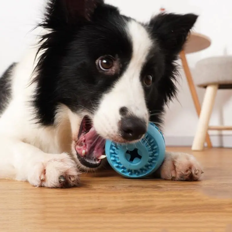 Ball Leak Food Rubber Toy DogToothbrush Non Toxic Bite Resistant Teeth Cleaning Chew Toy