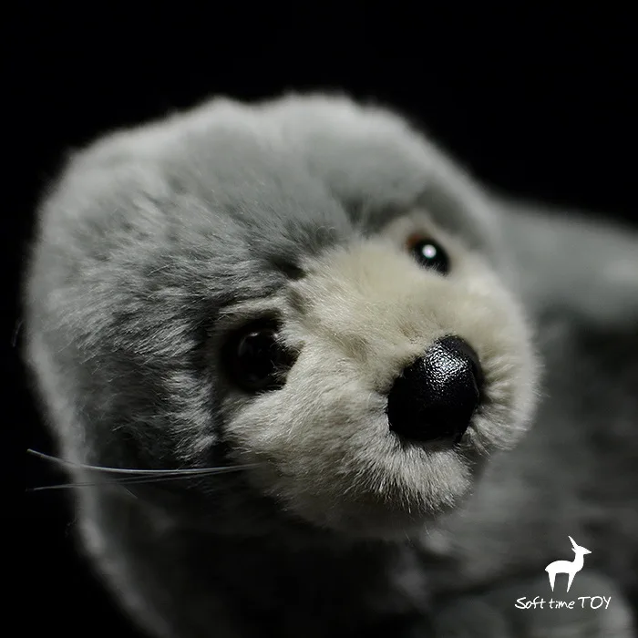 O1CN01MEK6IV1DnZvmOmIpT_!!22080261